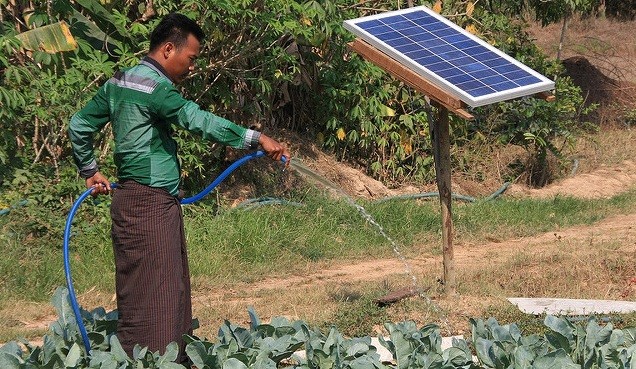 A farmer in Myanmar waters his crop with the help of a solar-powered irrigation pump.