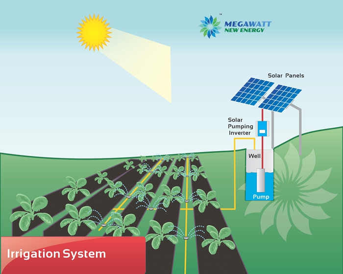 Solar irrigation system